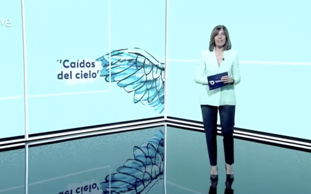 APARICIÓN DE CAÍDOS DEL CIELO EN EL TELEDIARIO DE RTVE